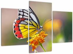 Mivali Tablou - Fluture pe floare, din trei bucăți 90x60 cm (V022330V90603PCS)