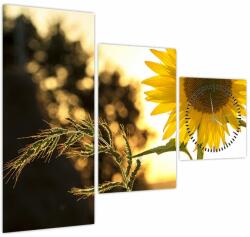 Mivali Tablou cu floarea soarelui (cu ceas), din trei bucăți 90x70 cm cu ceas (V020543V9070C)