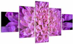 Mivali Tablou detailat cu floare, din cinci bucăți 125x70 cm (V020318V12570)