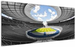 Mivali Tablou - stadionul de fodbal, dintr-o bucată 120x50 cm (V020597V12050)