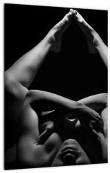 Mivali Tablou - Nud feminin pe fundal negru, dintr-o bucată 30x40 cm (V023496V3040)