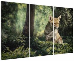 Mivali Tablou cu vulpe, din trei bucăți 120x80 cm (V020956V120803PCS)