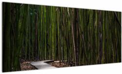 Mivali Tablou - Între bambus, dintr-o bucată 100x40 cm (V021324V10040)