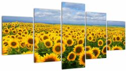 Mivali Tablou cu lan de floarea soarelui, din cinci bucăți 150x80 cm (V020946V150805PCS)