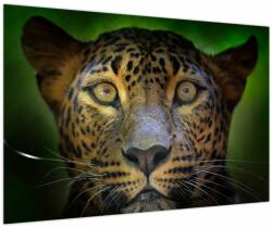 Mivali Tablou - Portretul leoparduslui, Sri Lanka (V021762V9060)