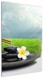 Mivali Tablou - Spa and relax, dintr-o bucată 60x90 cm (V021279V6090)