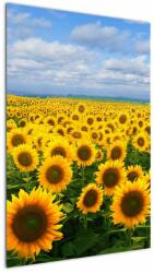 Mivali Tablou cu lan de floarea soarelui, dintr-o bucată 60x90 cm (V020946V6090)