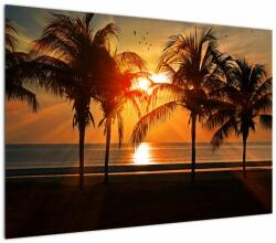 Mivali Tablou cu palmier în apus de soare, dintr-o bucată 100x70 cm (V020622V10070)