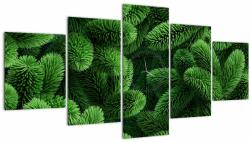 Mivali Tablou - Ramuri de conifere (cu ceas), din cinci bucăți 150x80 cm cu ceas (V022922V15080C)