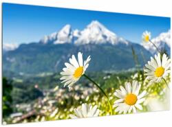 Mivali Tablou - Primăvara în Alpi, dintr-o bucată 120x70 cm (V023214V12070)