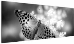 Mivali Tablou - Detailu cu fluture care polenizează floare, dintr-o bucată 145x58 cm (V022085V14558)