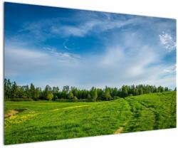Mivali Tablou cu luncă, dintr-o bucată 120x80 cm (V020322V12080)