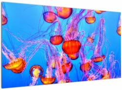 Mivali Tablou cu meduse în mare, dintr-o bucată 120x70 cm (V021149V12070)