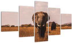 Mivali Tablou - Venirea elefantului, din cinci bucăți 125x70 cm (V021580V12570)