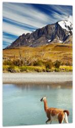 Mivali Tablou - Parcul Național Torres del Paine, dintr-o bucată 20x30 cm (V023745V2030)