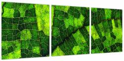 Mivali Tablou - Detaliu frunze, din trei bucăți 90x30 cm (V023713V9030)