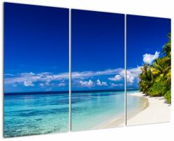 Mivali Tablou - Plaja tropicală, din trei bucăți 120x80 cm (V023215V120803PCS)