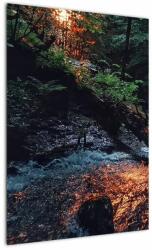 Mivali Tablou cu râu montan, dintr-o bucată 50x70 cm (V020254V5070)