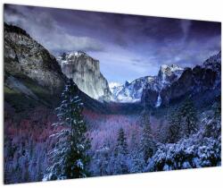 Mivali Tablou cu peisaj montan iarna, dintr-o bucată 90x60 cm (V020242V9060)