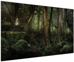 Mivali Tablou - Pădurea enigmatică, dintr-o bucată 150x100 cm (V021680V150100)