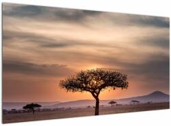 Mivali Tablou apusului de soare în Tanzania, dintr-o bucată 120x70 cm (V021578V12070)