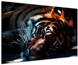 Mivali Tablou cu tigrul dormind, dintr-o bucată 120x80 cm (V021214V12080)