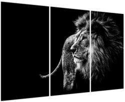 Mivali Tablou - Leu, din trei bucăți 120x80 cm (V023848V120803PCS)