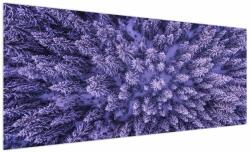 Mivali Tablou cu copacii înzăpeziți, dintr-o bucată 250x125 cm (V021148V250125)