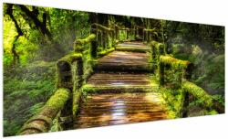 Mivali Tablou cu scări într-o pădure tropicală, dintr-o bucată 250x125 cm (V020941V250125)