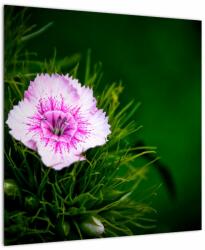 Mivali Tablou cu floare roz, dintr-o bucată 50x50 cm (V020990V5050)