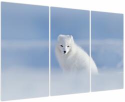Mivali Tablou - Vulpe polară, din trei bucăți 120x80 cm (V023887V120803PCS)