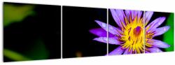 Mivali Tablou cu floare, din patru bucăți 160x40 cm (V021017V16040)