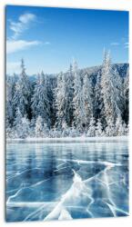 Mivali Tablou cu lacul înghețat și copacii înzăpeziți, dintr-o bucată 20x30 cm (V021299V2030)