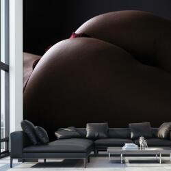 Mivali Fototapet - Nud feminin ||. , vlies, 490x340 cm (T100946TQ10)