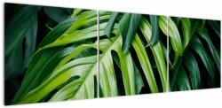 Mivali Tablou - Frunze tropicale, din trei bucăți 150x50 cm (V023104V15050)