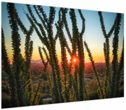 Mivali Tablou - Plante, dintr-o bucată 100x70 cm (V023847V10070)