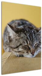 Mivali Tablou cu pisica pe fotoliu, dintr-o bucată 60x90 cm (V021340V6090)