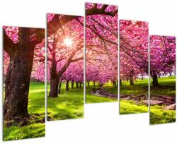 Mivali Tablou - Cireși înfloriți, Hurd Park, Dover, New Jersey, din cinci bucăți 125x90 cm (V022582V12590)
