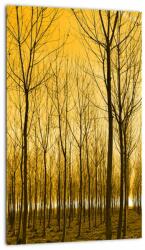 Mivali Tablou - Palntație cu pomi, dintr-o bucată 20x30 cm (V021313V2030)