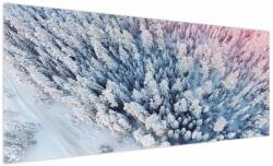 Mivali Tablou cu copaci înzăpeziți, dintr-o bucată 250x125 cm (V021172V250125)