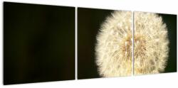 Mivali Tablou cu păpădie gri, din trei bucăți 120x40 cm (V020452V12040)