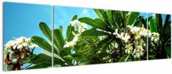 Mivali Tablou - Plumeria, din trei bucăți 170x50 cm (V021519V17050)