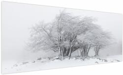 Mivali Tablou - Iarnă albă, dintr-o bucată 250x125 cm (V022824V250125)