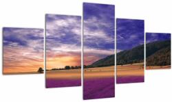 Mivali Tablou cu lunca cu lavandă, din cinci bucăți 125x70 cm (V022156V12570)