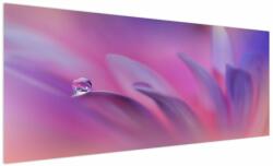 Mivali Tablou - Picătură pe floare, dintr-o bucată 250x125 cm (V024022V250125)