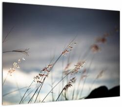 Mivali Tablou pe sticlă - Flori de luncă, dintr-o bucată 70x50 cm pe sticlă (V022190V7050GD)