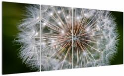 Mivali Tablou cu păpădie, din patru bucăți 160x80 cm (V020954V16080)
