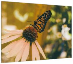 Mivali Tablou cu fluture pe floare, dintr-o bucată 70x50 cm (V021201V7050)