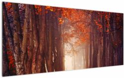Mivali Tablou - Pădurea de toamnă, dintr-o bucată 120x50 cm (V021985V12050)