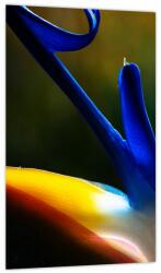 Mivali Tablou - Floare exotică, dintr-o bucată 20x30 cm (V023749V2030)